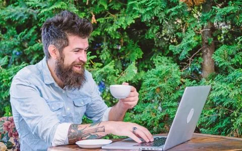A freelance computer programmer. Bearded man working freelance. Freelancer Stock Photos