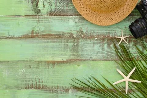 Freelance concept summer hat, camera, seastars and paln leaf on green wooden Stock Photos
