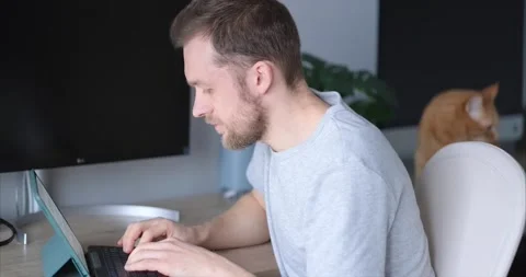 Freelance software developer working in home office with tabby cat near, 4K Stock Footage 220331337