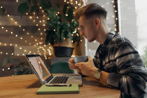 Freelancer analyzing graph on laptop while working distantly 写真素材