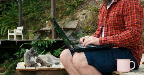 Freelancer blogs on laptop or does work with stunning view of jungle. Cat rests Stock Photos