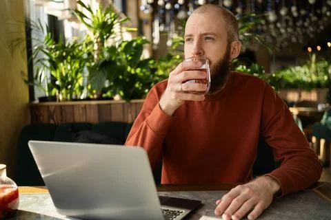 Freelancer in a cozy cafe drinking tea while working on a laptop. Focused a.. Stock Photos