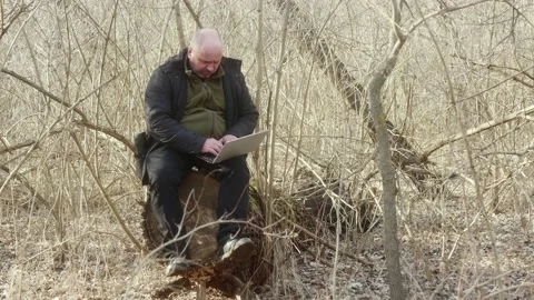 Freelancer in a dense forest sitting on a stump working on a laptop. Remote Vídeos de archivo 170801194