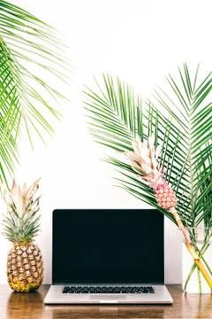 Freelancer desktop whith computer,  palm branches and decorative pink pineapp Stock Photos
