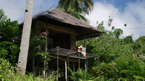 Freelancer enjoys jungle view while working Stock Footage 307079272