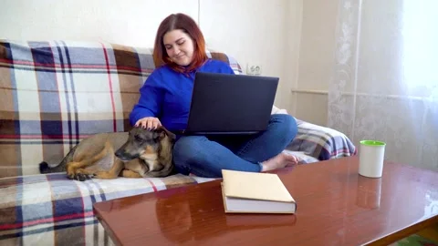 Freelancer girl working on a laptop while sitting on a sofa at home Stock Footage 135761384
