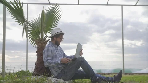 Freelancer man with laptop working on the beach under palm trees Stock Footage 121343825