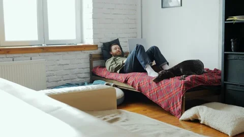 A freelancer man is lying in an apartment with his dog and working on a laptop Stock Footage 233584367