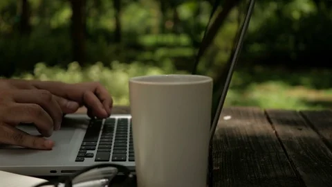Freelancer man working on computer laptop in the park Stock Footage 70561627