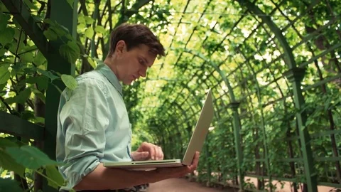 Freelancer using laptop standing at city park. Summer day Stock Footage 77169071