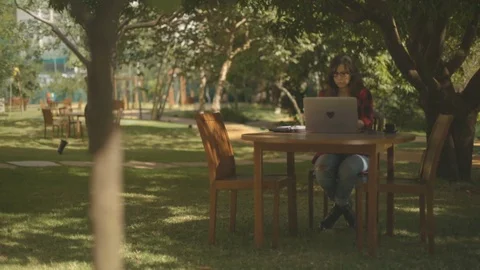 Freelancer woman working with the computer in a park Video stock 76180621