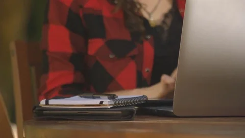Freelancer woman working with the computer in a park Vídeo Stock 76197904