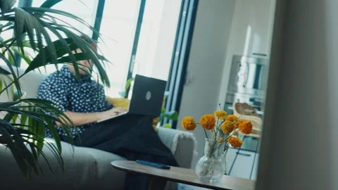 Freelancer working from home using laptop on sofa Stock Footage 312999252