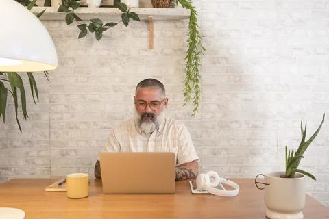Freelancer working from home using laptop in cozy environment Stock Photos