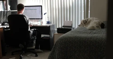 Freelancer works in home office with dog Stock Footage