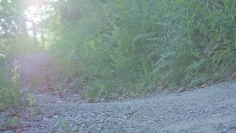 The freeride on the path in the mountains. Video stock 95772830