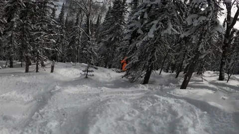 Freeride in winter forest point of view Stock Footage 221410095