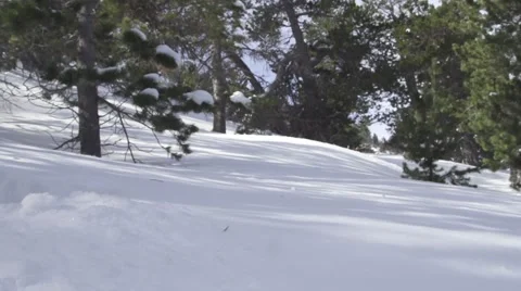 FREERIDER IN SLOWMOTION Stock Footage 41692769