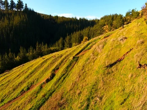 Freeriding mountain biker races down singletrack at sunset Video stock 79962899