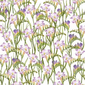 Freesia Flower Watercolour Pattern 2 Stock Illustration