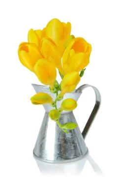 Freesia flowers Stock Photos