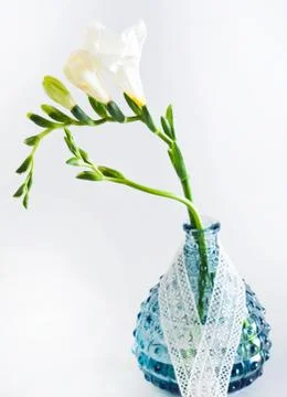 Freesia flowers Stock Photos
