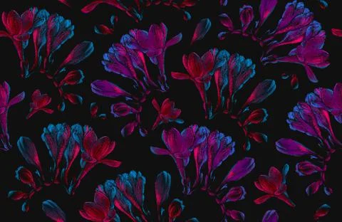 Freesia flowers seamless pattern drawing, pink and blue neon colors Illustrazione stock
