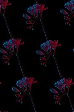 Freesia flowers seamless pattern illustration, pink and blue neon colors Stock Illustration