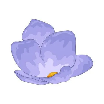 Freesia illustration Stock Illustration