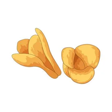 Freesia illustration Stock Illustration