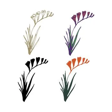 Freesia isolated flowers Stock Illustration