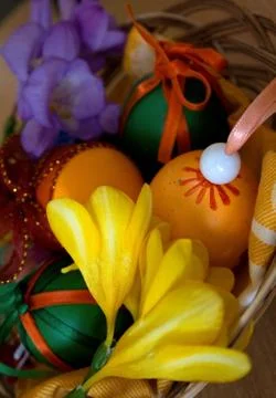 Freesia Stock Photos