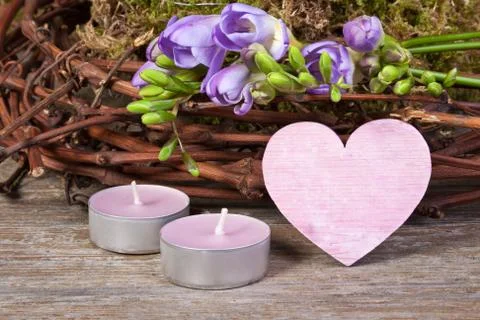 Freesias Stock Photos