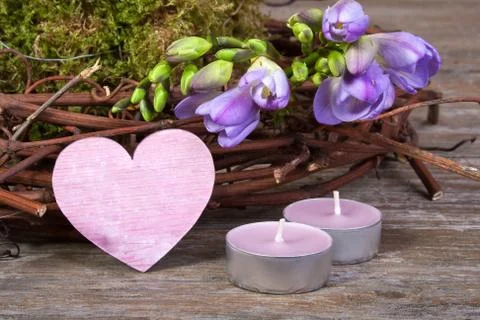 Freesias Stock Photos