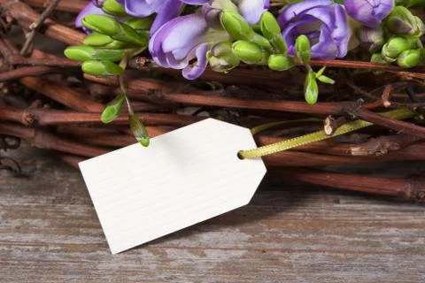 Freesias Stock Photos