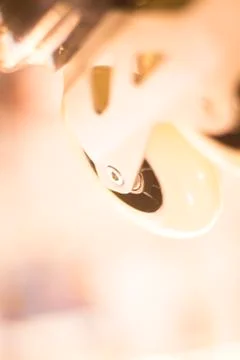 Freestyle inline skates in store Stock-Fotos