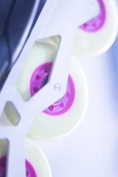 Freestyle inline skates in store Stock Photos