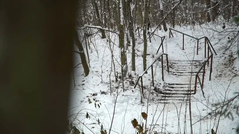 Freestyle skier grinds down a handrail Stock Footage
