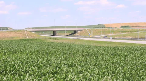 Freeway and cornfield Stock Footage 39725380