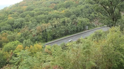Freeway surrounded by trees Stock Footage 8778085
