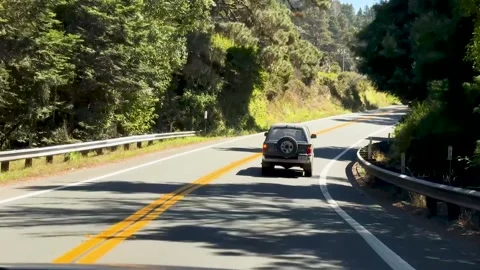 Freeway Through a Forested Area Stock Footage 284393247