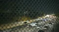 Freeway Traffic 03 Timelapse Dolly R Night Los Angeles HD Footage