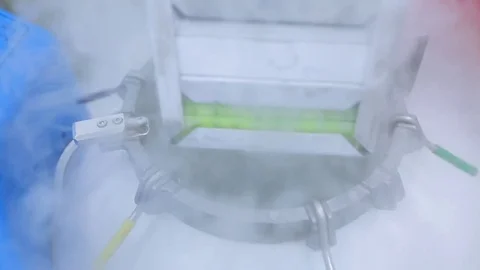 Freeze bacteria in liquid nitrogen Stock Footage 69766138