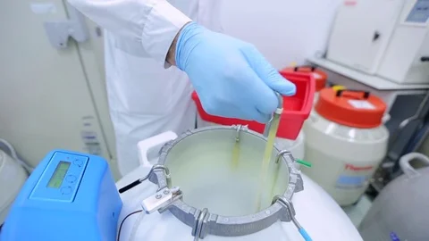 Freeze bacteria in liquid nitrogen Stock Footage 69816862