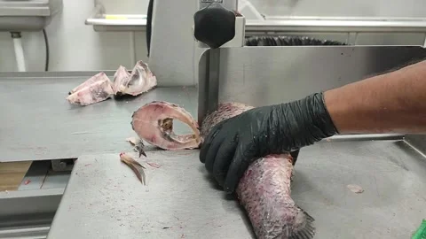 Freeze Fish cutting in progress Stock Footage 312698380
