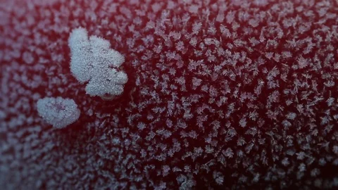 Freezer Burn Melting Quickly MAC Stock Footage 74750395
