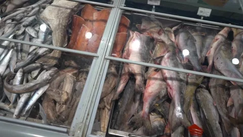 Freezer containing various types of frozen fish and seafood Stock Footage 323232872