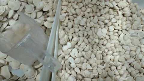 Freezer filled with dumplings of various sizes in a store Stock Footage 323232869