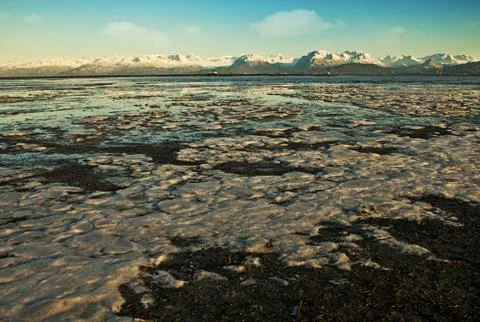 Freezing bay Stock Photos