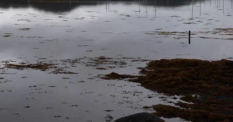 Freezing beach Stock Footage 101340744